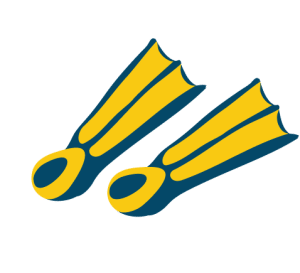 Two yellow and blue swim fins, with the left fin slightly higher than the right, against a white background.