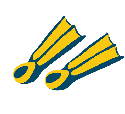 Two yellow and blue swim fins, with the left fin slightly higher than the right, against a white background.