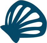 A dark blue, stylized seashell with a ridged, fan-like pattern on a white background.